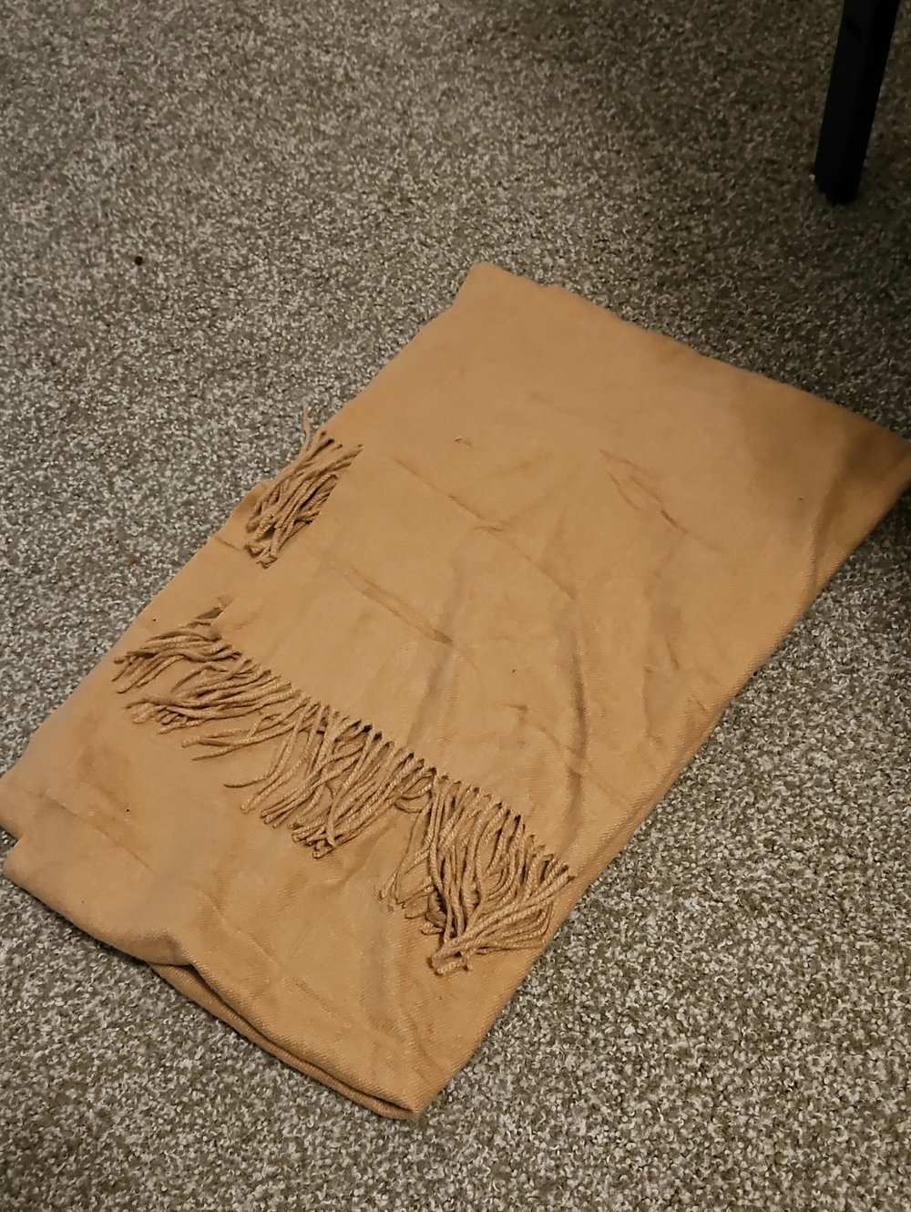 Cozy Camel Fringe Scarf VERY LARGE